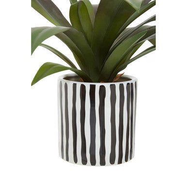 Fiori Agave In Ceramic Pot
