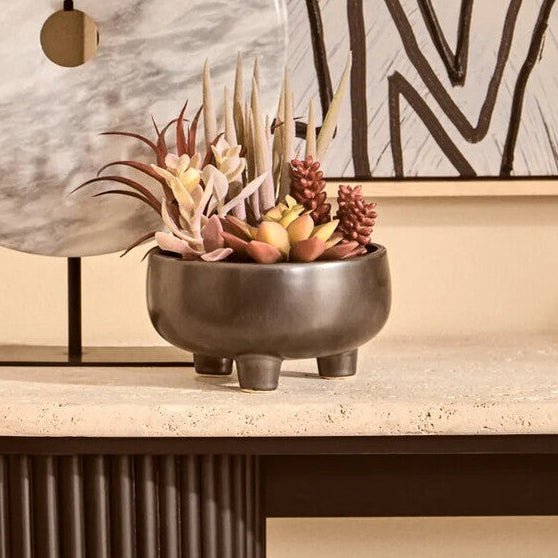 Mixed Succulents in Grey Ceramic Pot | Fiori