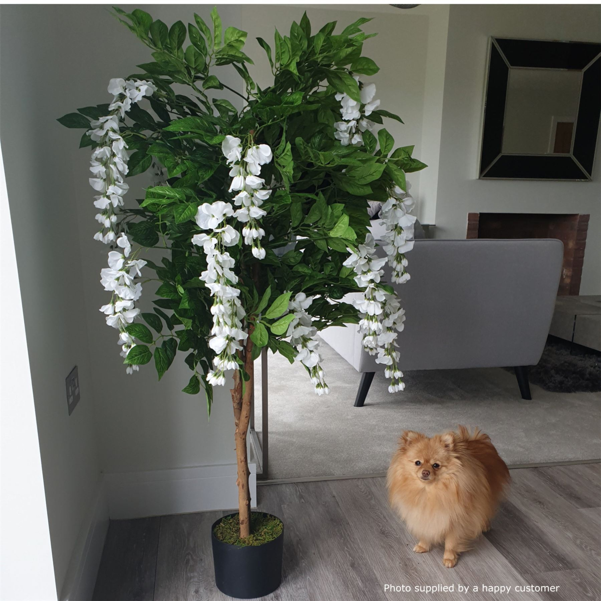 130cm Luxury Artificial Wisteria Tree White Flowers - Premium Range Silver Metal Planter