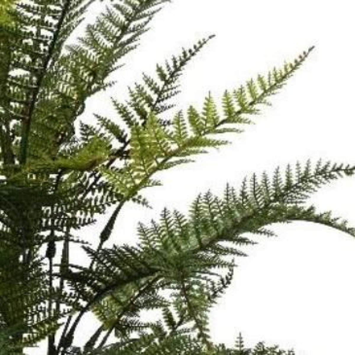 Pack of 6 x 78cm Fire Retardant Artificial Fern Foliage Branch