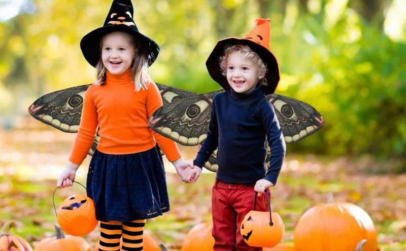 Halloween Moth Wings | Eye-Catching Design for Costumes | Kids Wings