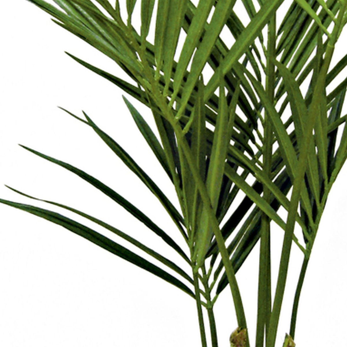 150cm Artificial Kentia Palm Tree