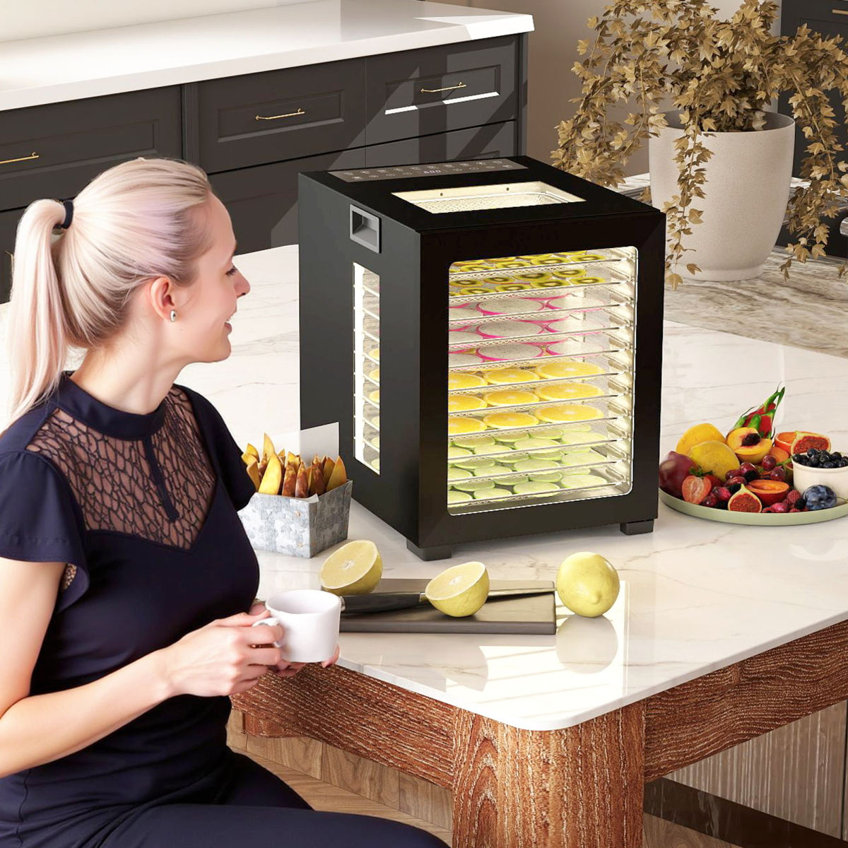HOMCOM Food Dehydrator with 12 Stainless Steel Tray, 850W Food Dryer Machine