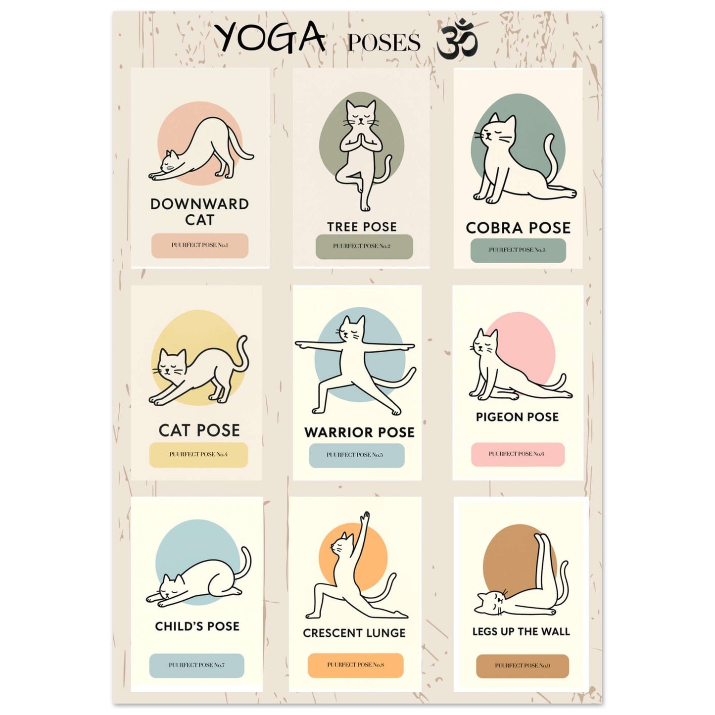 Funny Cat Yoga Wall Art