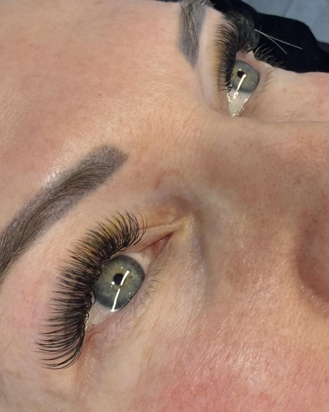 U Lashes Collection