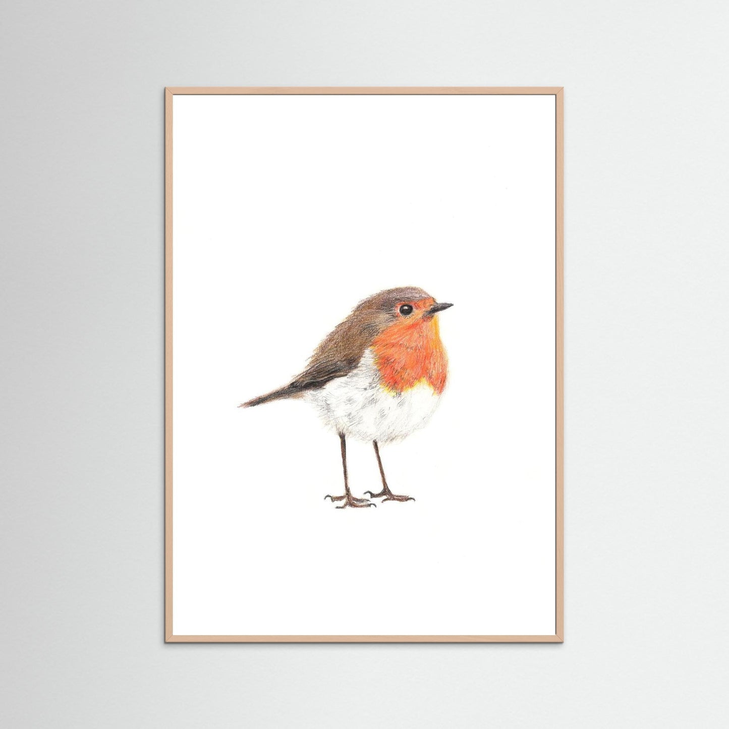 Robin Woodland Art Print