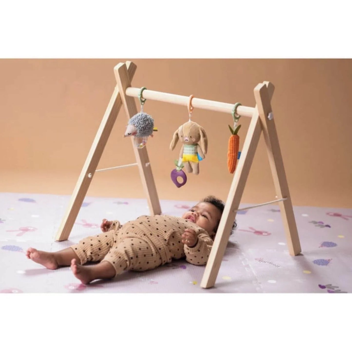 Taf Toys Activity Toys Kit