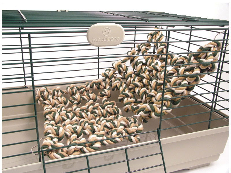 Boredom Breaker Rat and Ferret Cargo Net - Case of 2