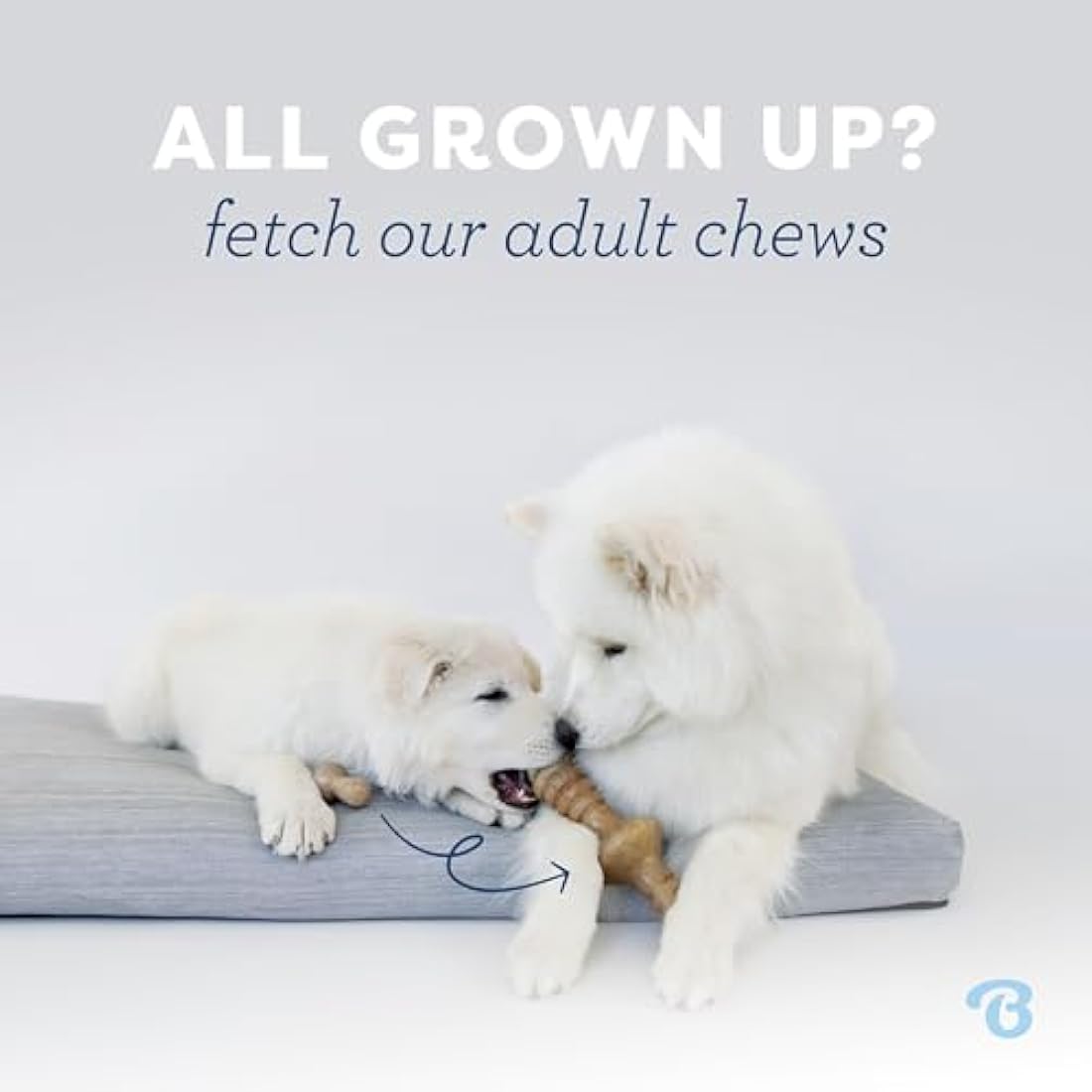 Benebone Puppy Indestructible Wishbone Dog Chew Toy for Aggressive Chewers, Long Lasting Tough Teething Boredom Breaker for Puppies, Real Bacon Flavour, For Small Dogs, Made in the USA