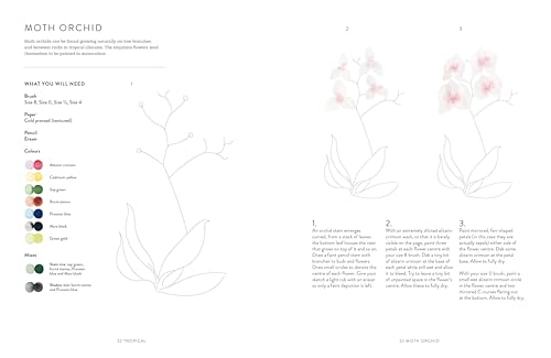 Birds, Bees & Blossoms: A step-by-step guide to botanical and animal watercolour painting