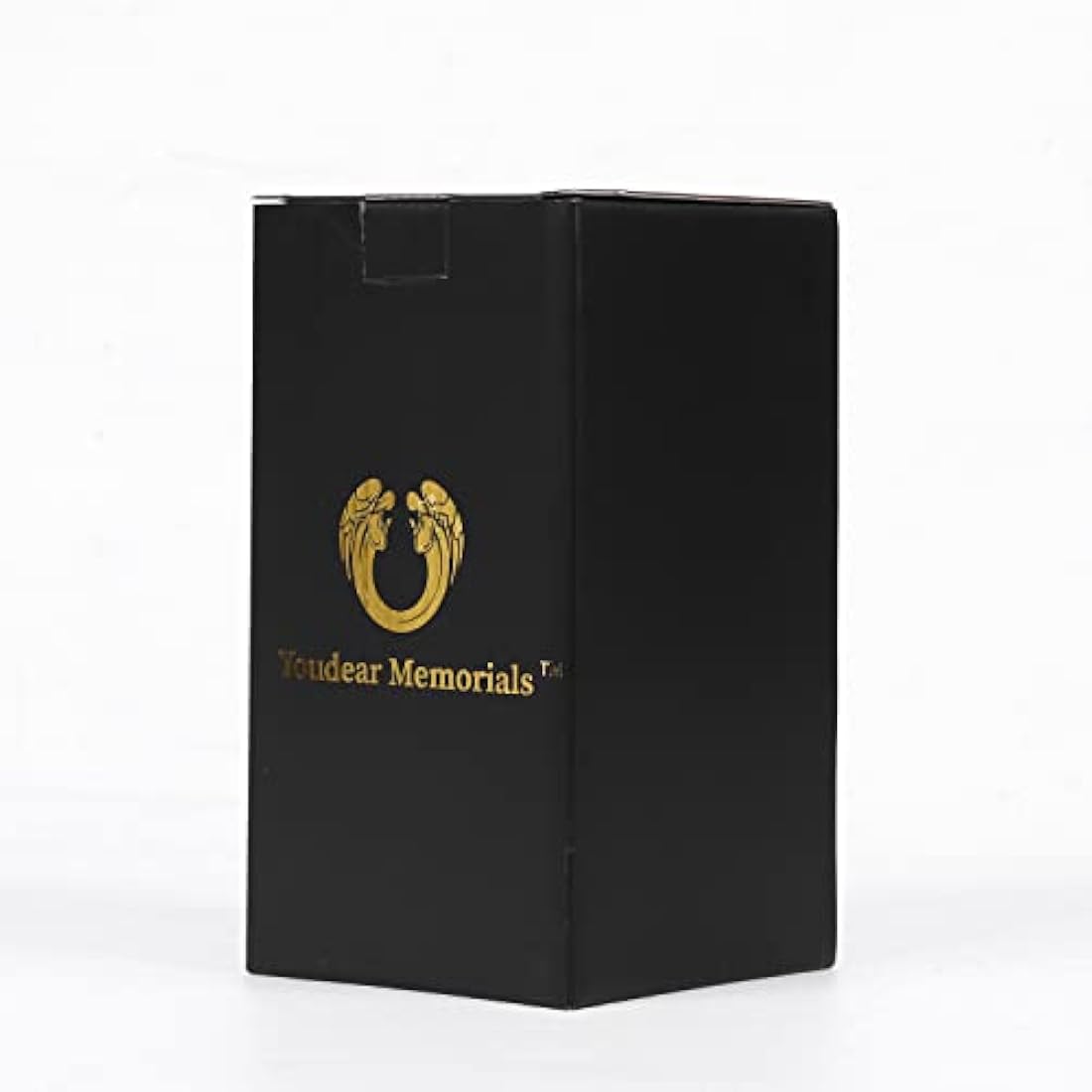 Paw Print Keepsake Urns - Pet Memorial Urns for Dog & Cat Ashes (Small, Black)