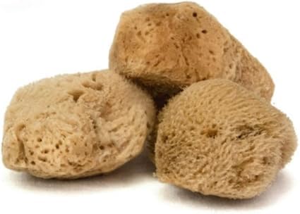 IntimateCare Sea Sponges. Mediterranean Sea Sponges in Plastic Free Packaging. Absolute Quality. (Natural Brown, 3X 5.5-6.5cm / 2-2.5in)