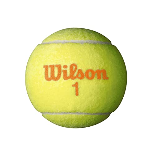 Wilson Starter Tennis Balls (Pack of 48) - Orange