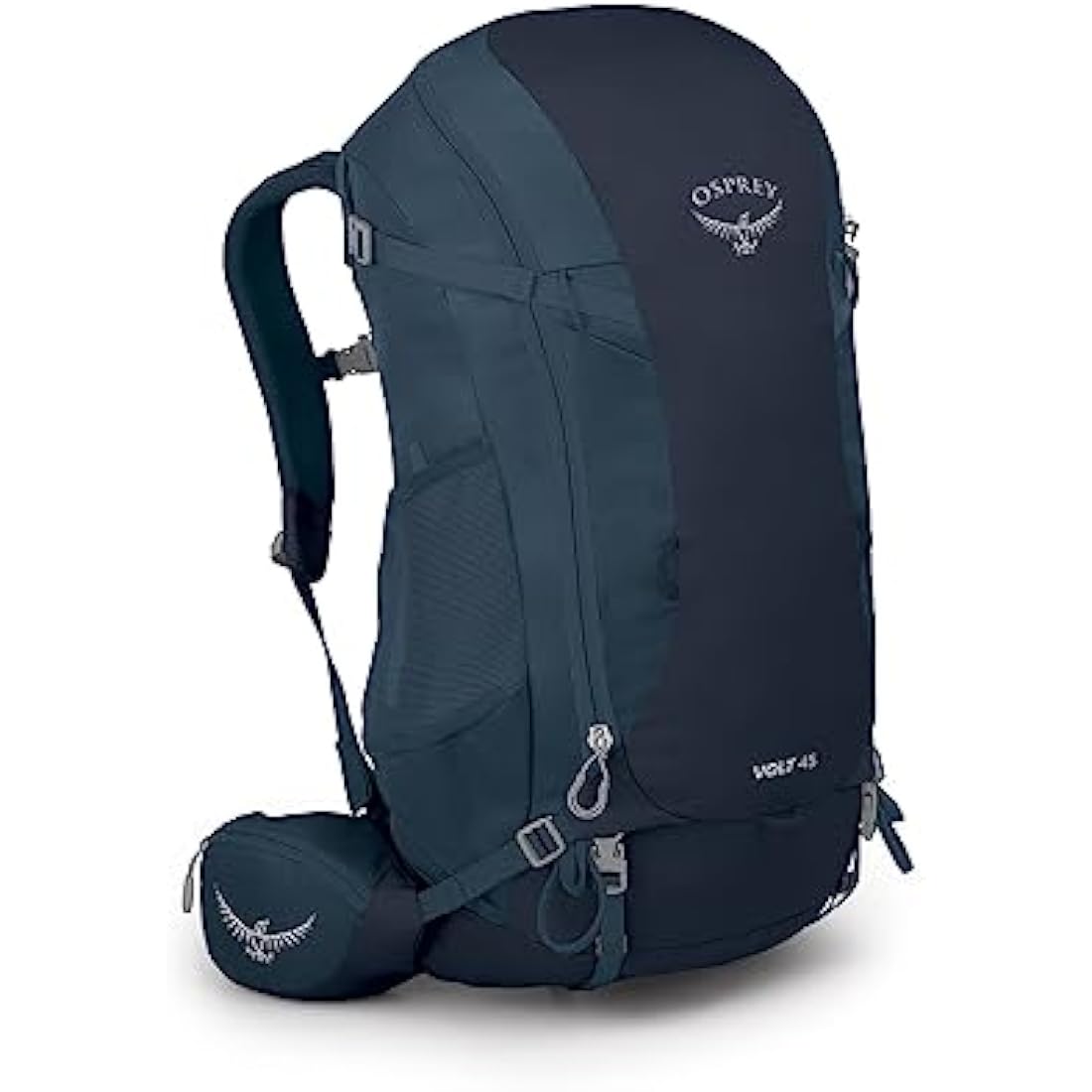 Osprey Volt 45