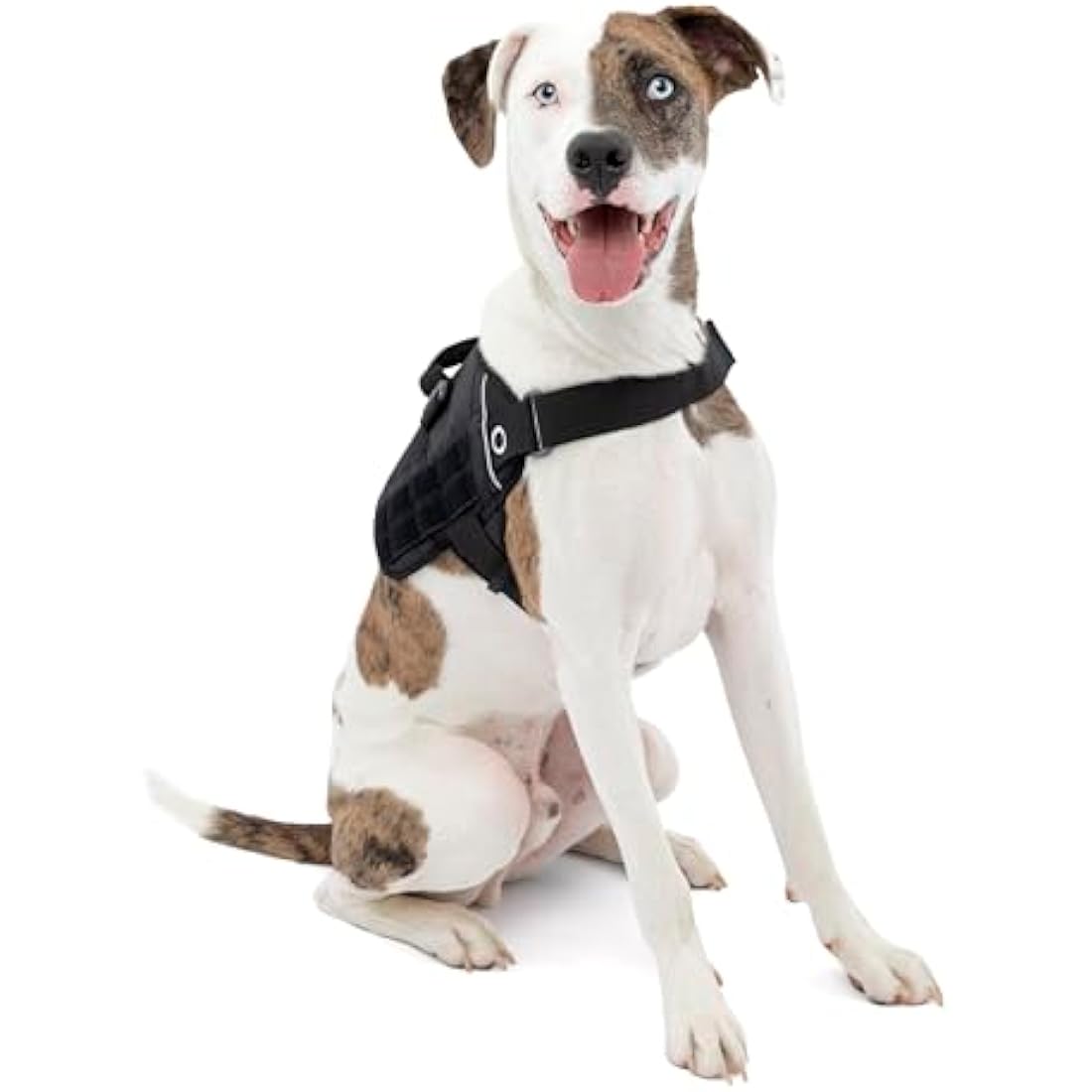 Kurgo RSG Dog Townie Harness, Easy On/Off Dog Hiking Harness, Adjustable, MOLLE Compatible, Medium-Black
