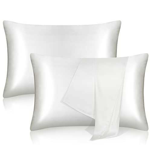 tenn well 2 Pack Mulberry Silk Pillowcases for Hair and Skin, Both Sides 100% Pure Silk Pillowcase 19 Momme Soft Smooth Pillow Case with Hidden Zipper
