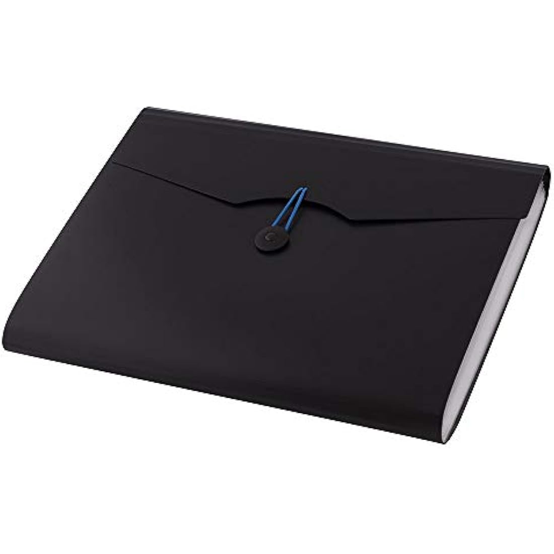 D.RECT | Expandable Expanding File | Document Organiser | Folders Expander for School - Office - Home | Expanding File Folders | Pockets Filing Box | 12 Compartments | Size: A4 | Colour: Black 5580