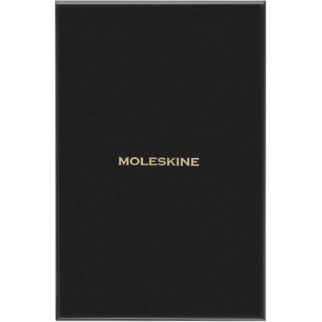 Moleskine Precious & Ethical Notebook, with Gift Box, Vegan Soft Cover, Elastic Closure, Large Format 13x21 cm, Colour Orange