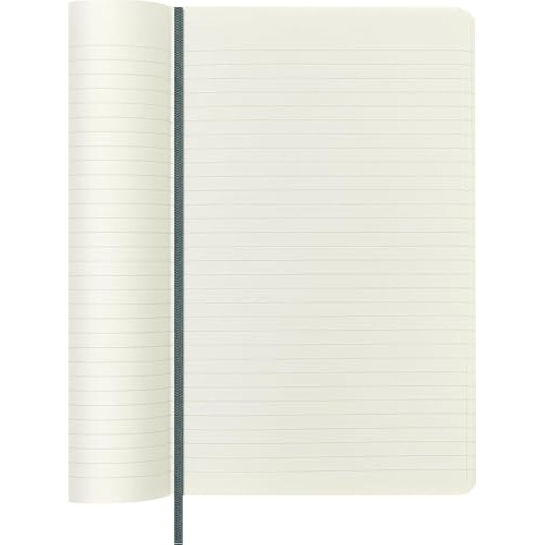 Moleskine Precious & Ethical Notebook, with Gift Box, Vegan Soft Cover Python-Effect, Elastic Closure, Large Format 13x21 cm, Colour Green
