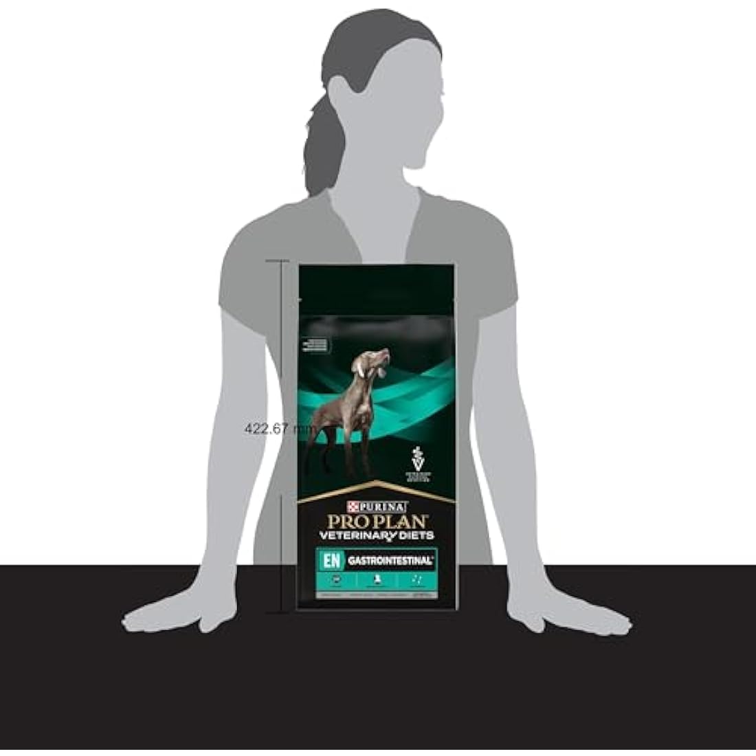 PRO PLAN VETERINARY DIETS EN Gastrointestinal Dry Dog Food 12 kg, 12274091
