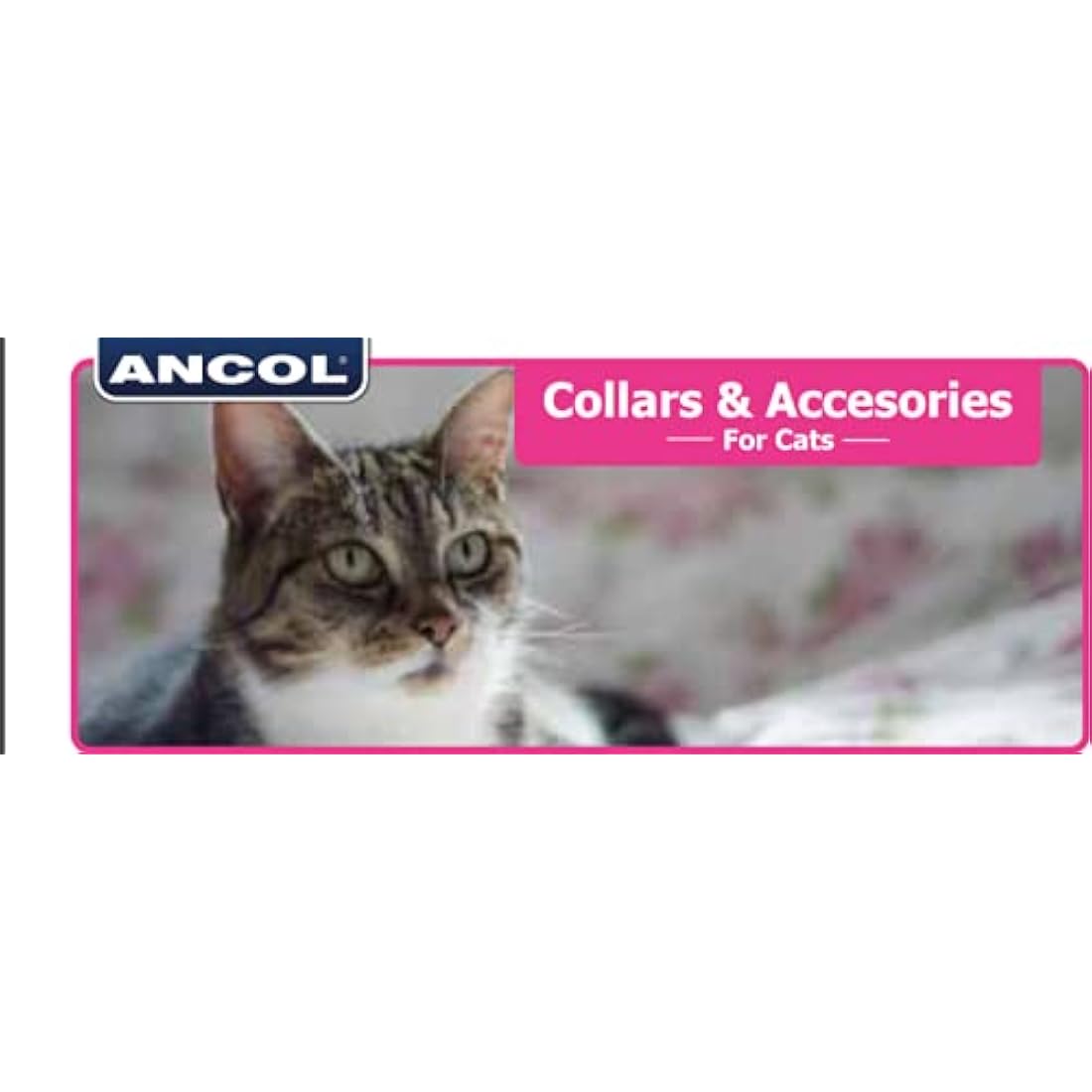 Ancol Camo Safety Cat Collar in Green - Comfortable Pet Accessory with Break Away Buckle - Kitten Training Neckband