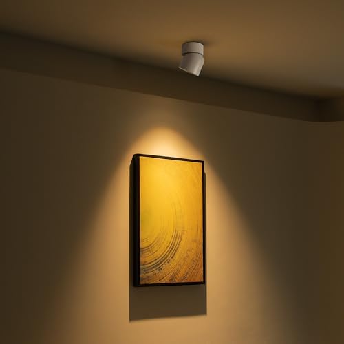 Aisilan 2 Pack White Ceiling Spotlight Dimmable 9W LED Warm White Rotatable 360° Adjustable Ceiling Single Spot Light for Wall Painting, Gallerie, Art, Living Room, Stairs, Corridor