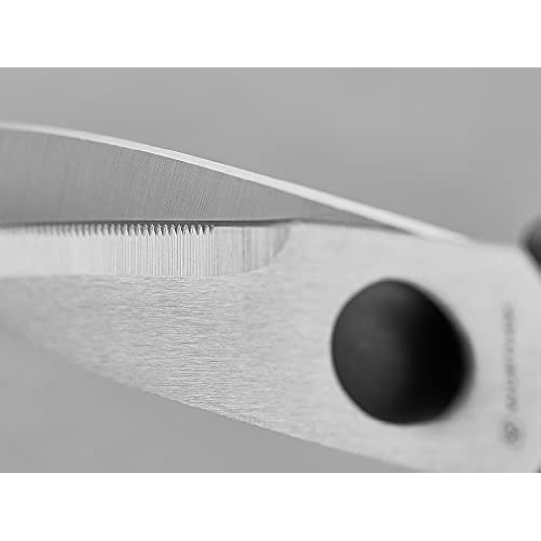 WÜSTHOF Come Apart Kitchen Shears, black