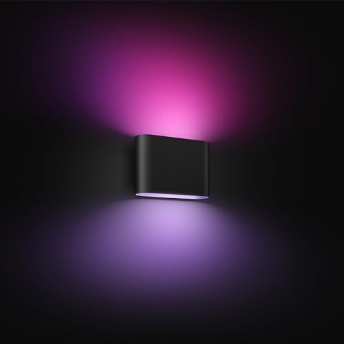 Philips Hue White and Colour Ambiance Dymera Smart Indoor and Outdoor Wall Light, White and Colour Light, Hue Bridge Required for Outdoor Use, Voice Control with Alexa, Apple Home, Google Assistant
