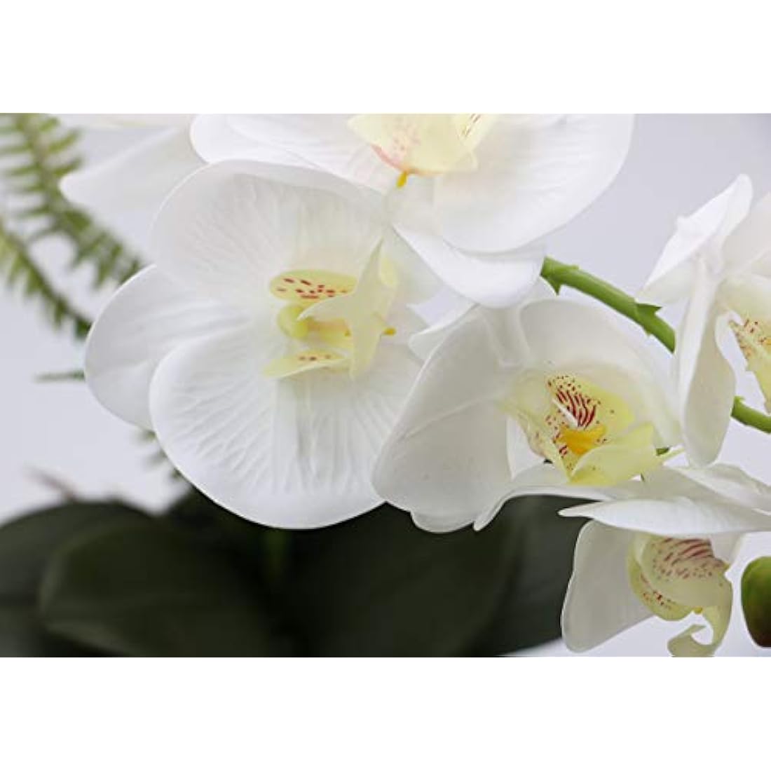 Olrla Artificial White Orchid Flower in Pot, Potted Butterfly Orchid for Office Home Wedding Bathroom Decor Table Centerpiece