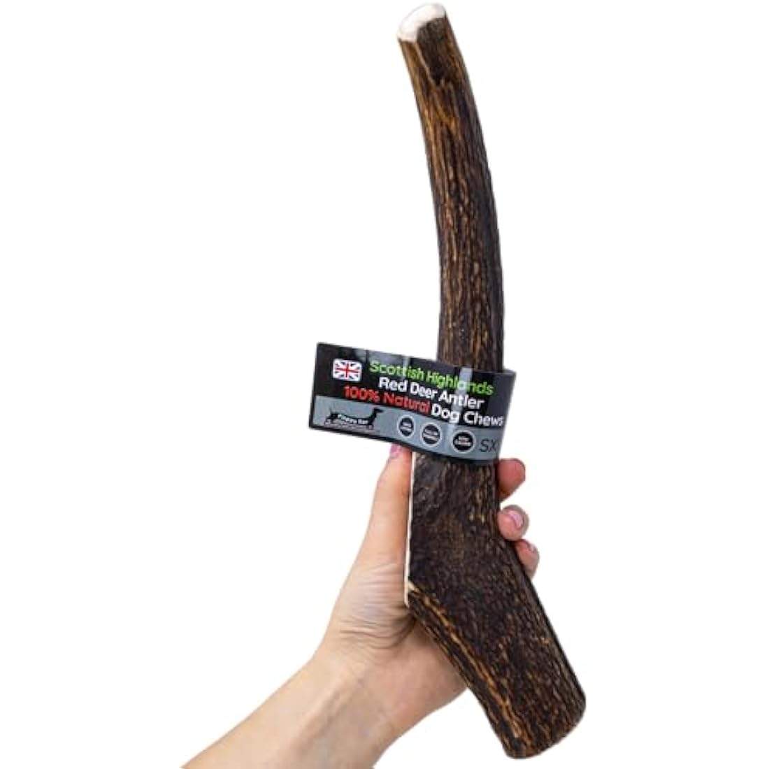 Scottish Deer Antler Dog Chews - Naturally Shed, Long Lasting, 100% Natural… (Deer Antler Chew SXL 350-450g)