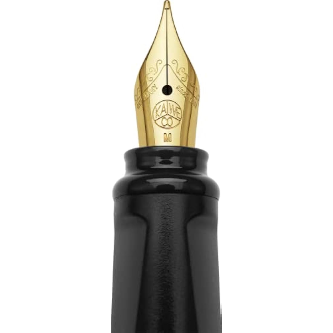 Moleskine x Kaweco Fountain Pen in ABS plastic with Gold-Plated Size M Nib and Refillable Ballpen for Writers, Note-Takers, Refill 1.0mm with Blue Ink and 6 Blue Ink Cartridges included, Color Black