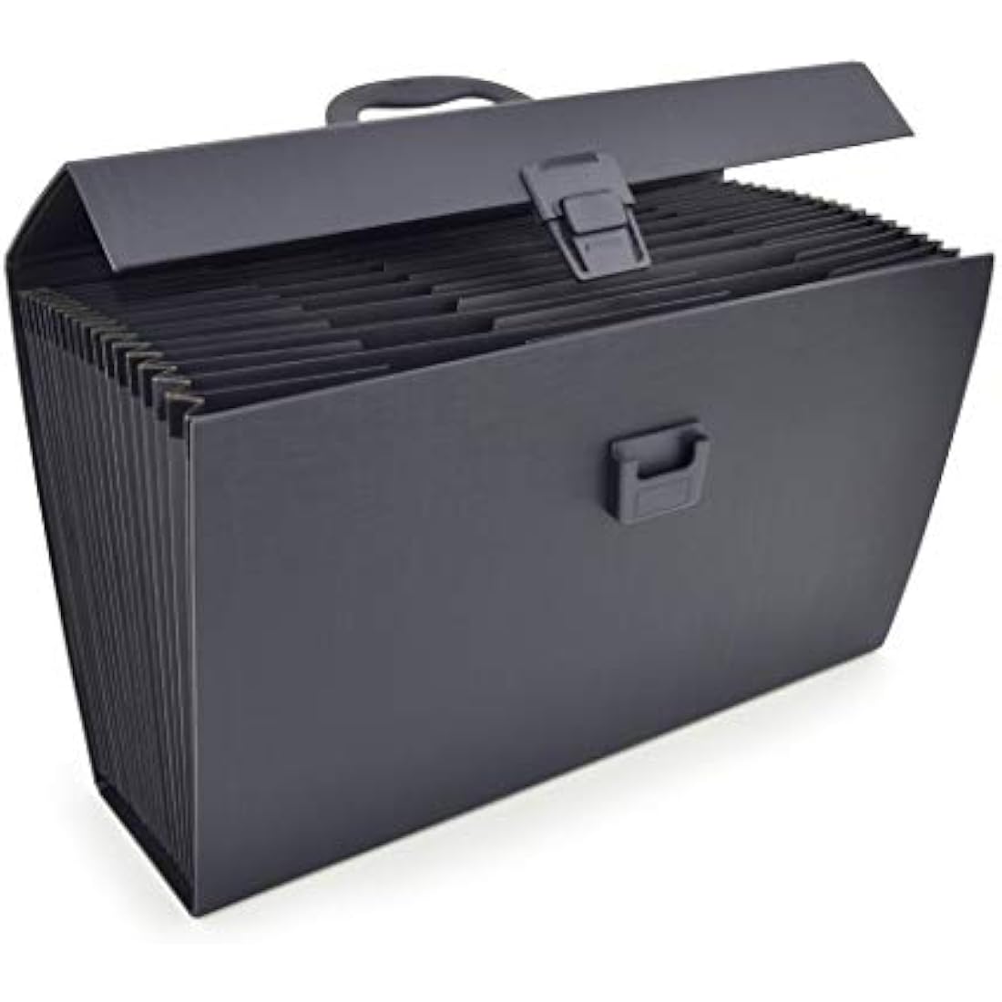Rapesco 1555 19-Part Expanding Box File Document Organiser, A4+, Black