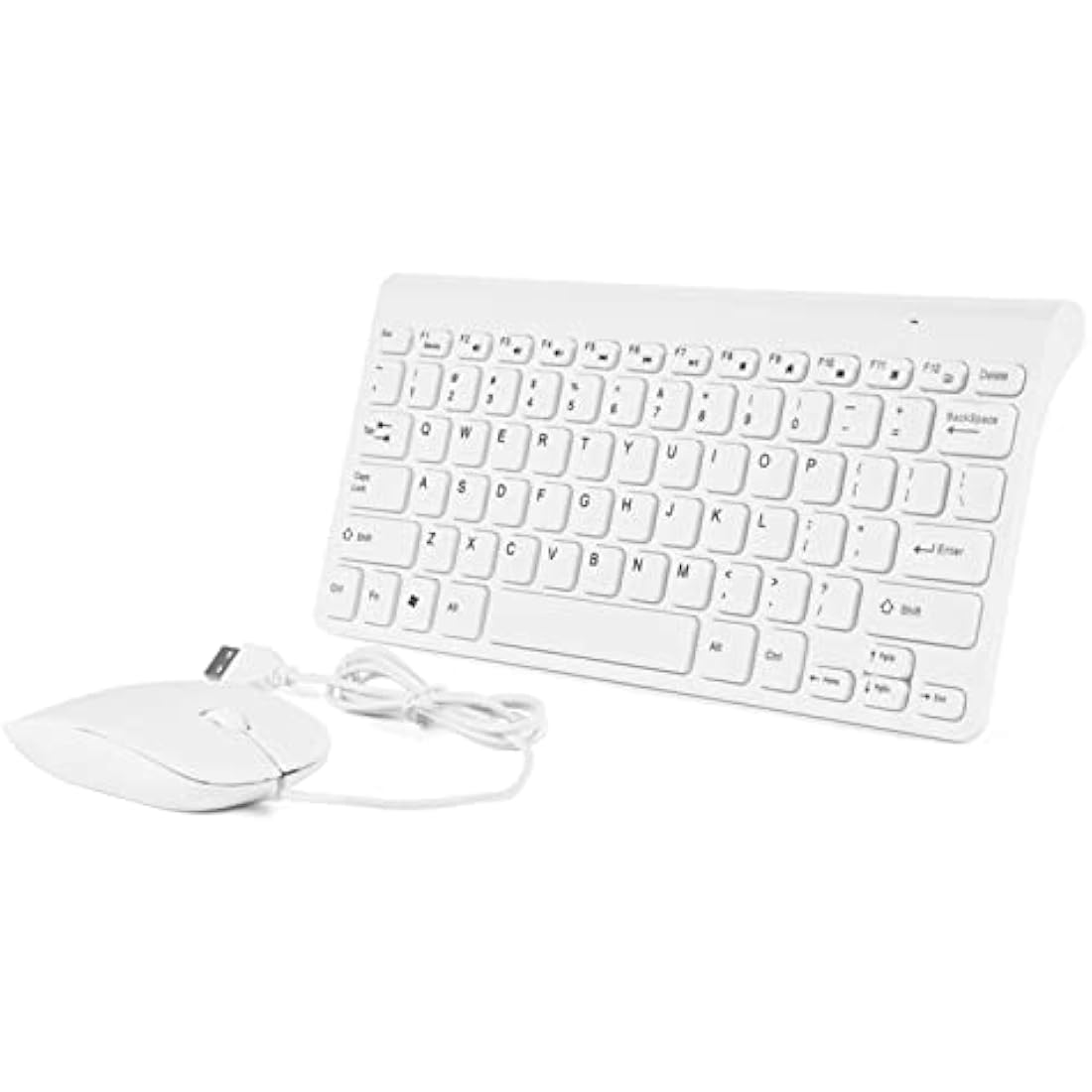 Richer-R Wired Keyboard and Mouse Set,Portable and Lightweight Ultra-Thin USB Wired Keyboard Optical Mouse Mice Set Combo for PC Laptop(White)