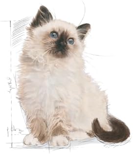 Royal Canin Kitten Dry Cat Food 4kg