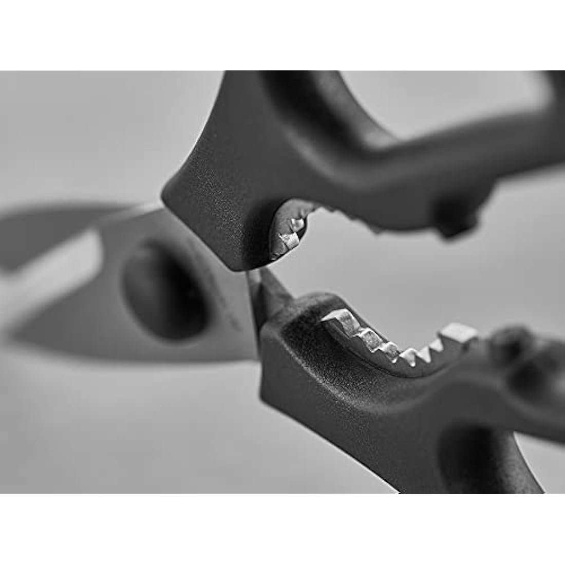 WÜSTHOF Come Apart Kitchen Shears, black