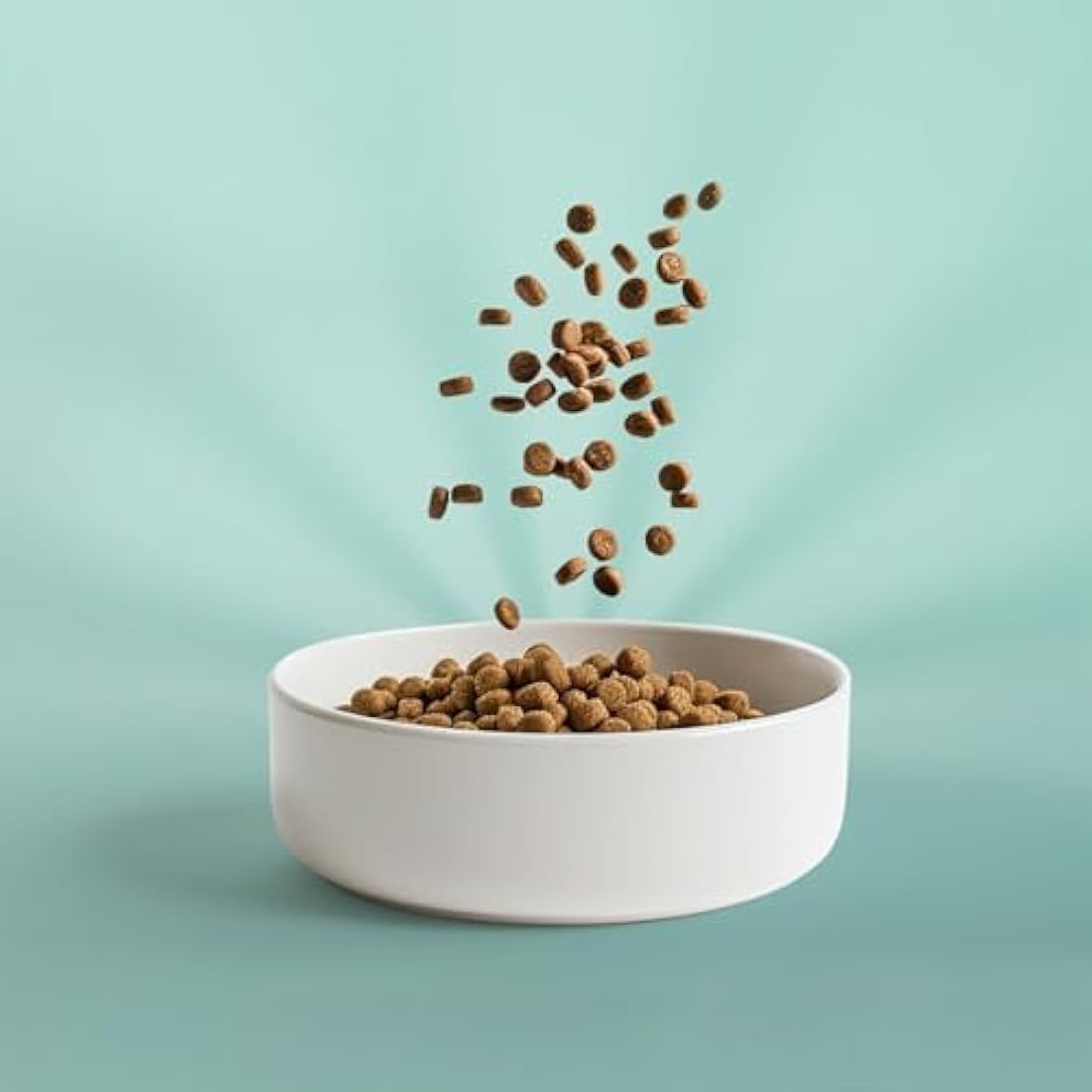 OMNI Hypoallergenic Dog Food for Senior Dogs 10kg - Protein-Rich Dry Kibble, Made in the UK with Natural Ingredients, Backed by Vets, Supported By Science, Dragons’ Den Winners