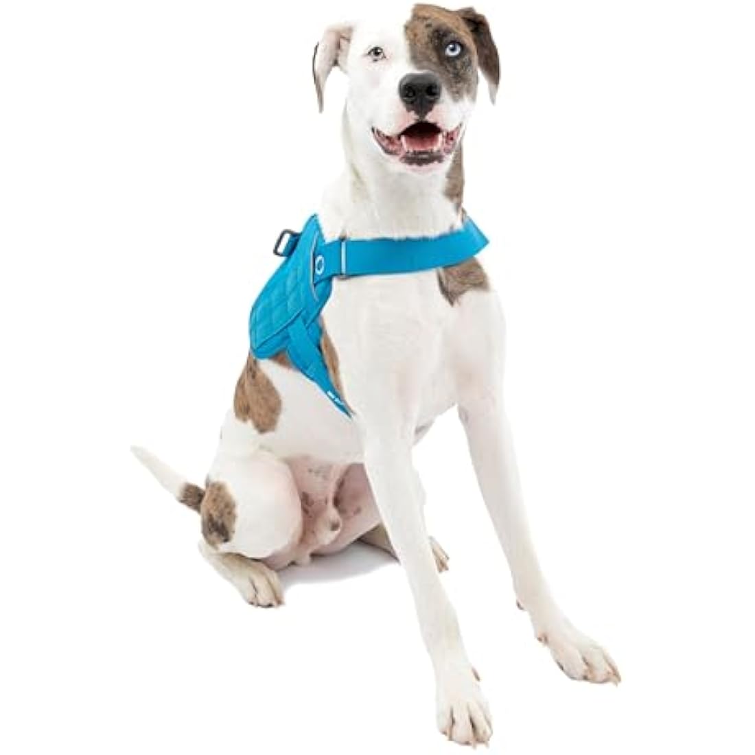 Kurgo RSG Dog Townie Harness, Easy On/Off Dog Hiking Harness, Adjustable, MOLLE Compatible, Medium-Coastal Blue