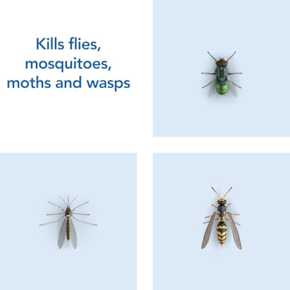 Raid Rapid Action Fly & Wasp Killer, Fly Killer Spray For Indoor Use, Pack of 6 (6 x 300ml)