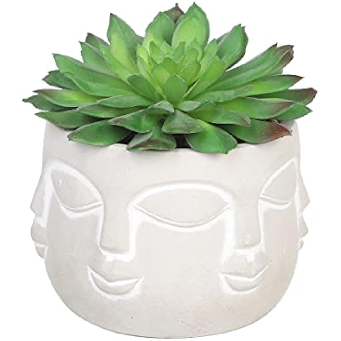 Sleepdown Halo Green Artificial Faux Plant Succulent Faces Pot for Home Office Bathroom Decor Indoor Decoration Aesthetics, Small