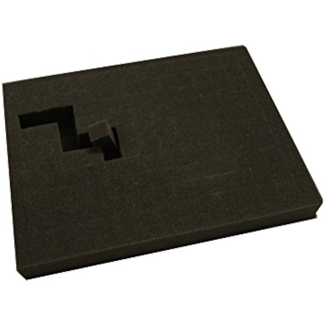 The Tyrant Army and Figure Case including foam, Made for Wargamers, DND Roleplayers & More