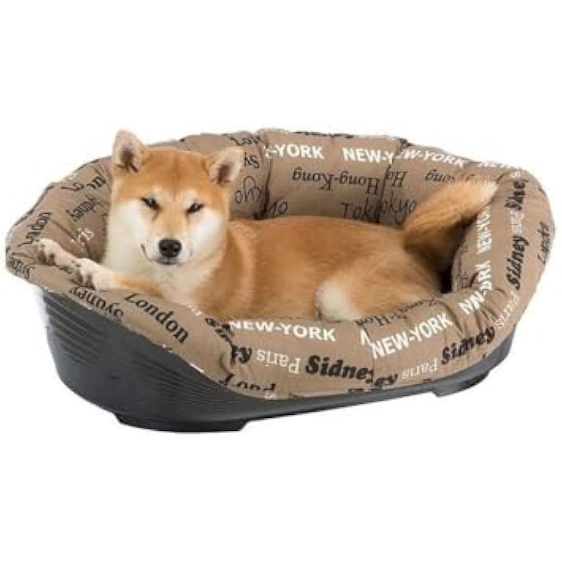 Ferplast Plastic Dog and Cat Bed with Padded Dog and Cat Cushion SOFA' Dog Bed with Padded Cushion, Washable, 73 x 55 x 27 cm