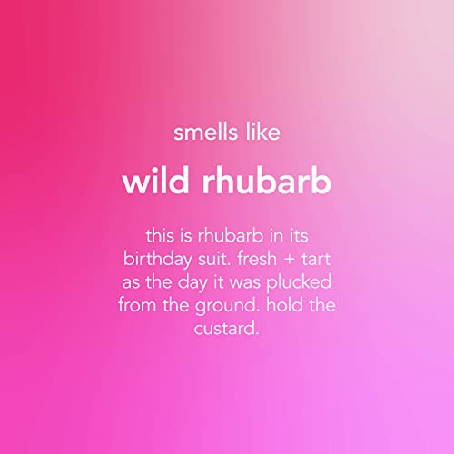 Method Antibacterial All Purpose Cleaner Wild Rhubarb, 828ml (Pack of 1)