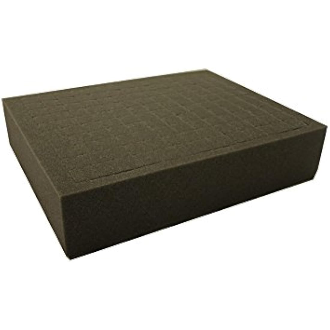 The Tyrant Army and Figure Case including foam, Made for Wargamers, DND Roleplayers & More