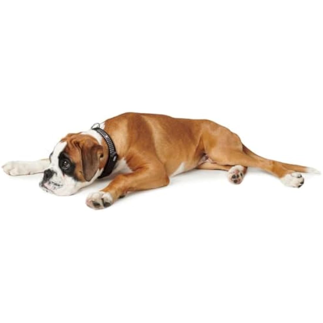Hunter Softie Deluxe Collar, 55, Black