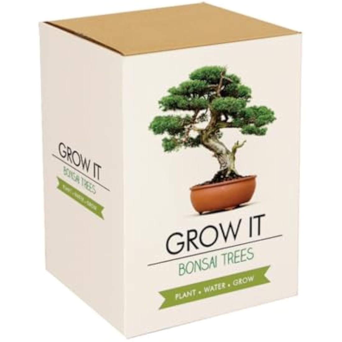 Gift Republic GR200006 : Grow It. Grow Your Own Bonsai Trees, 12.0 cm*12.0 cm*12.0 cm