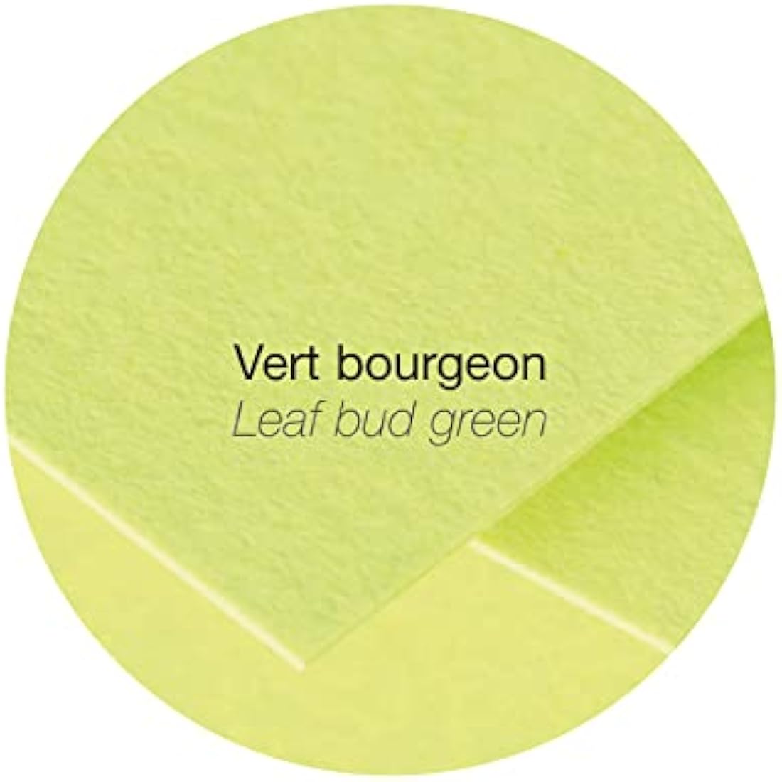 Clairefontaine - Ref 55478C - Pollen Envelopes (Pack of 20) - 140 x 140mm Sized, 120gsm Paper, Gummed Seal, Inkjet & Laser Printer Compatible, Acid Free - Leaf Bud Green