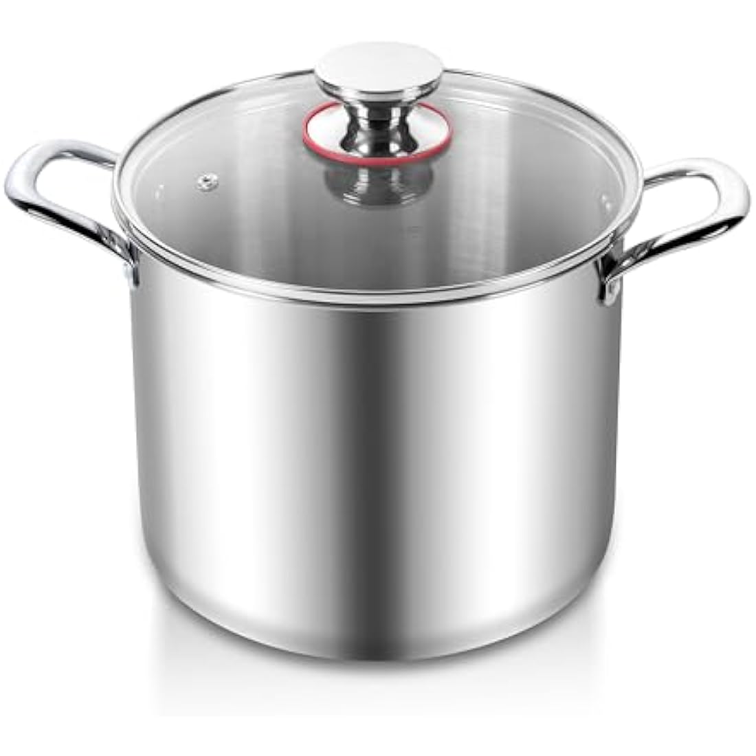 Joyfair Large Stock Pot, 10L Tri-Ply Stainless Steel Stockpot with Glass Lid, Induction/Gas/Ceramic/Electric/Halogen Safe Soup Pot for Simmering Stewing, Heavy-Duty & Riveted Handles & Easy Clean