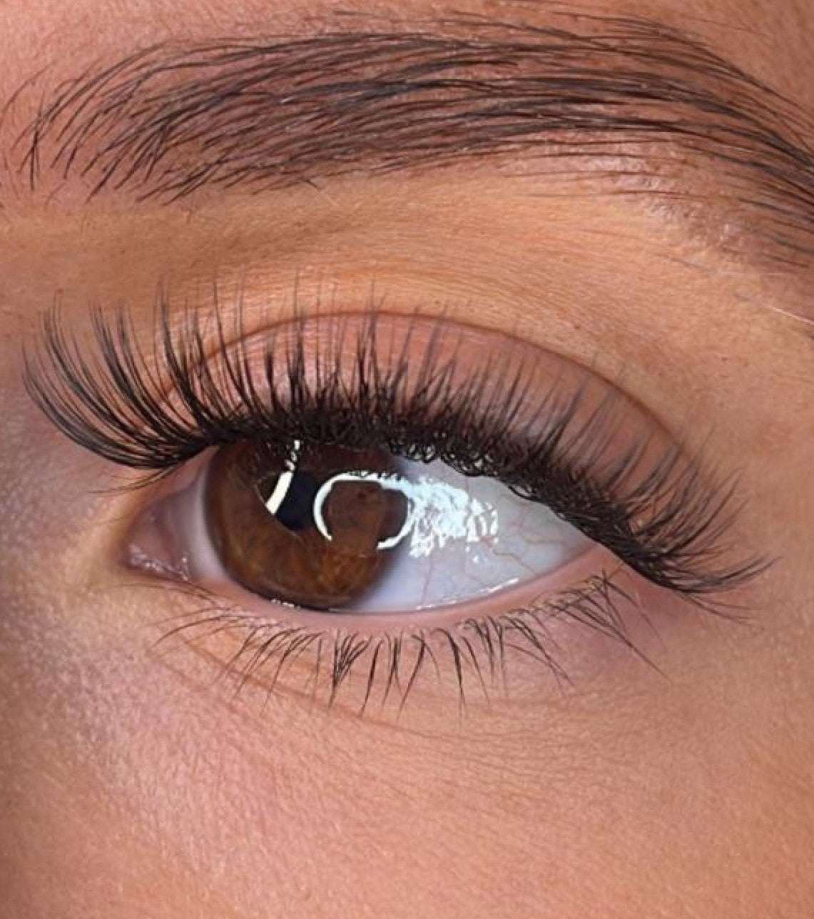 Niamh - 3D 'D' Curl Lash Ribbons®