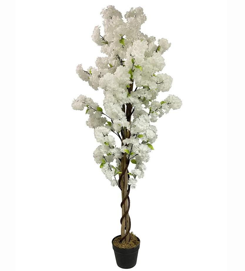 79167266