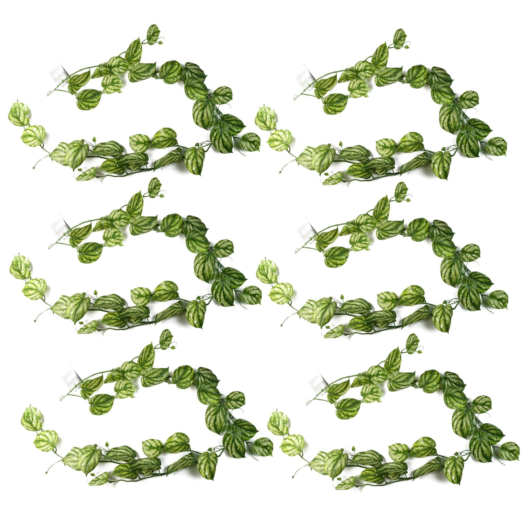 65596979